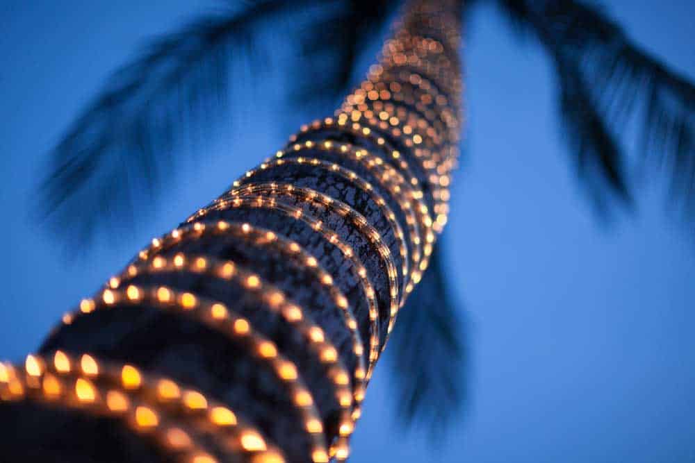 A coconut lighted by LED light